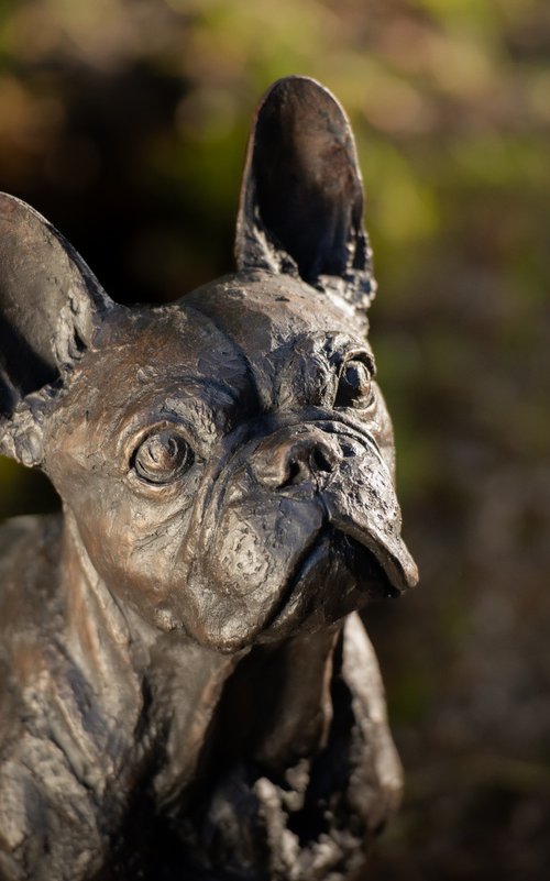 Sitting French Bulldog FB by Tanya Russell