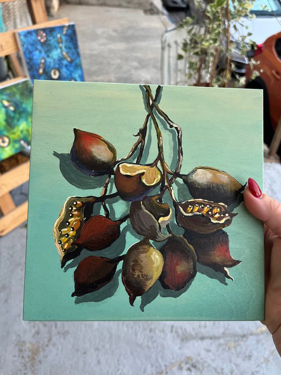 Seeds of Hidden Stories