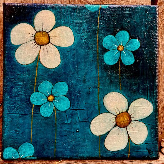 The blue daisies