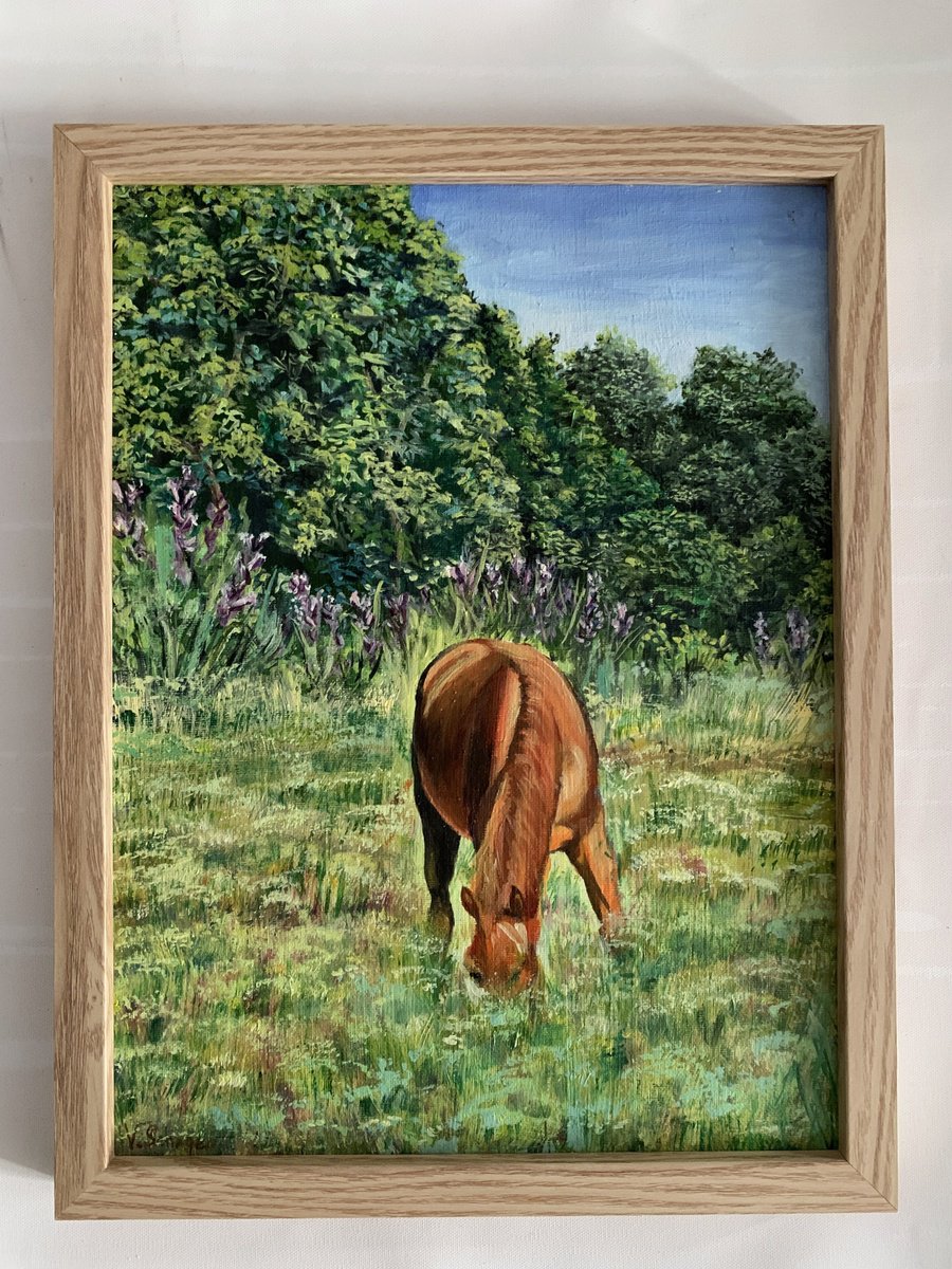 Horse In The Field. By Vita Schagen, 13 X 17, Artwork For Sale On Artfinder