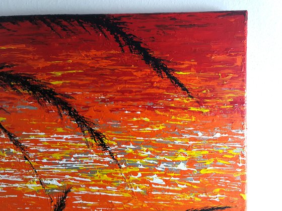 Red Sunset In The Grass