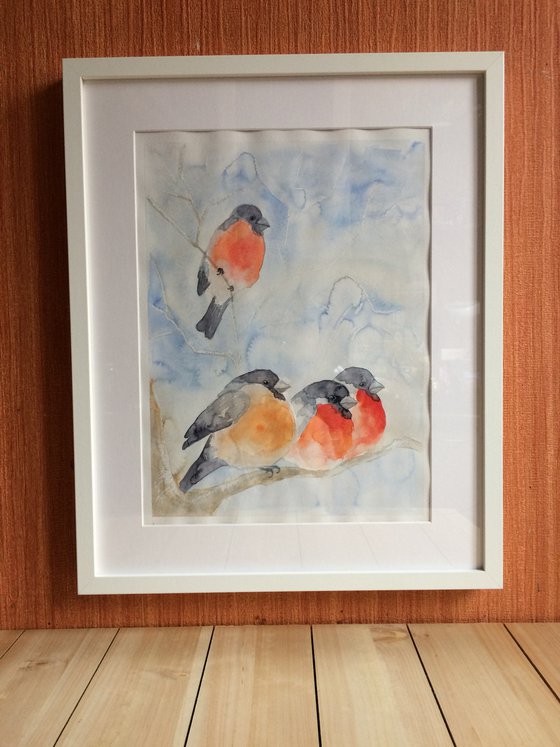 Bullfinches