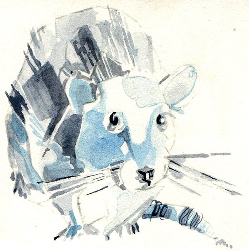 Small blue rat by Hannah Clark