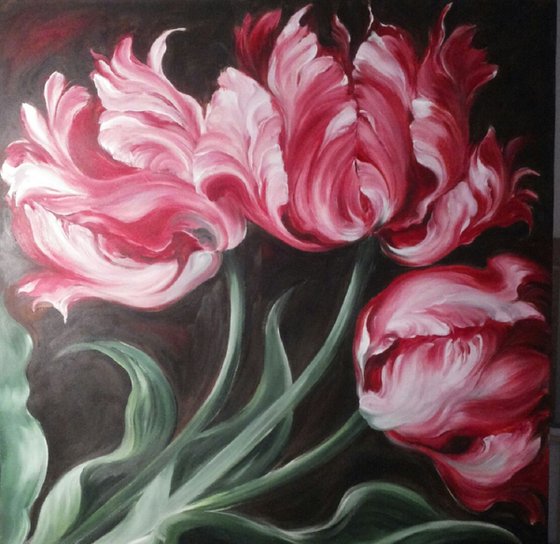 "Rembrand Tulip"