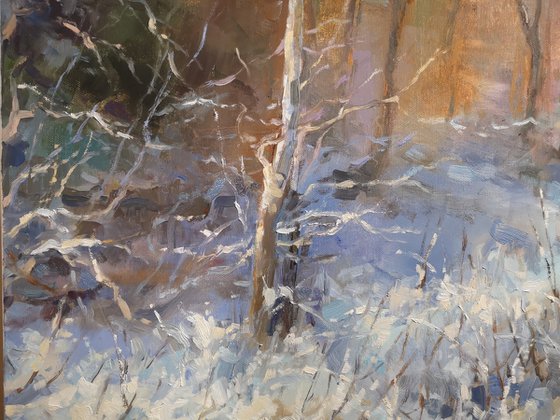 Winter dream