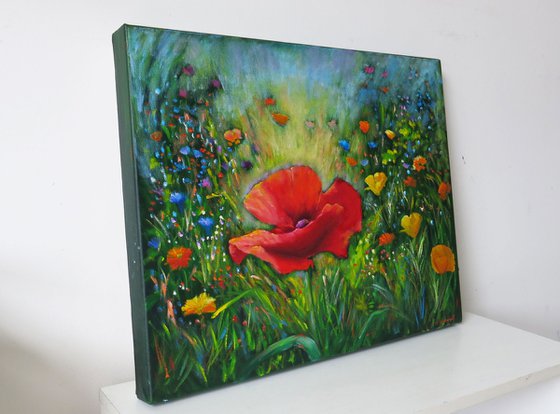 Poppies Galore