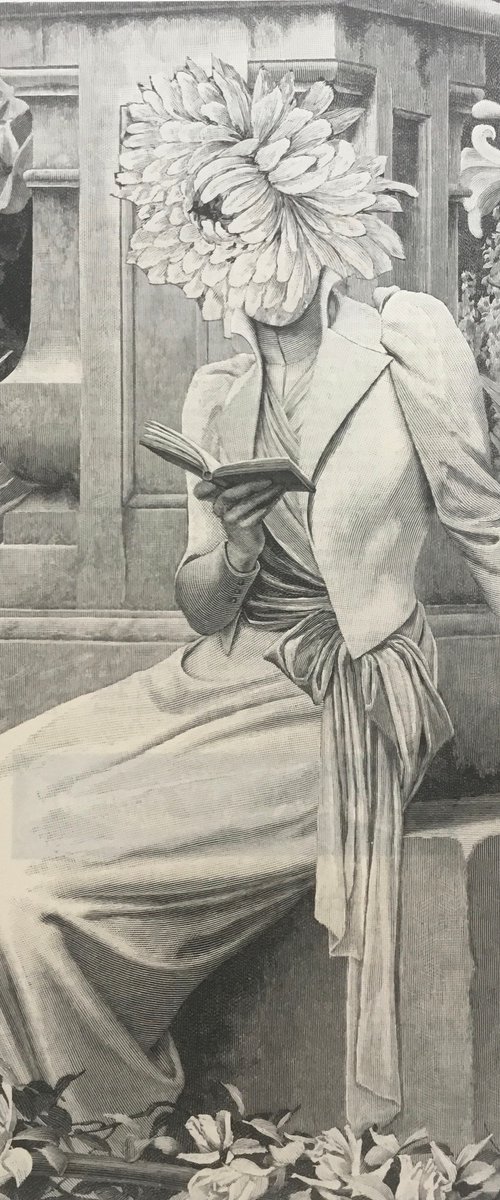 White Rose and Lilly by Tudor Evans