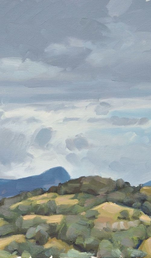 July 4, Roches de Mariols, after the thunderstorm by ANNE BAUDEQUIN