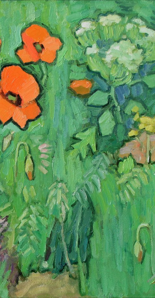 Poppies by Ivan Kolisnyk