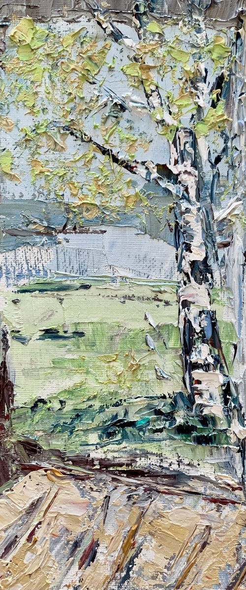 Birch tree in spring by Vilma Gataveckienė