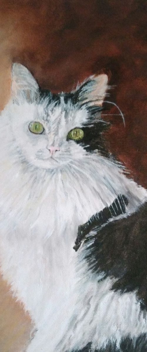 Princess the cat by Isabelle Lucas