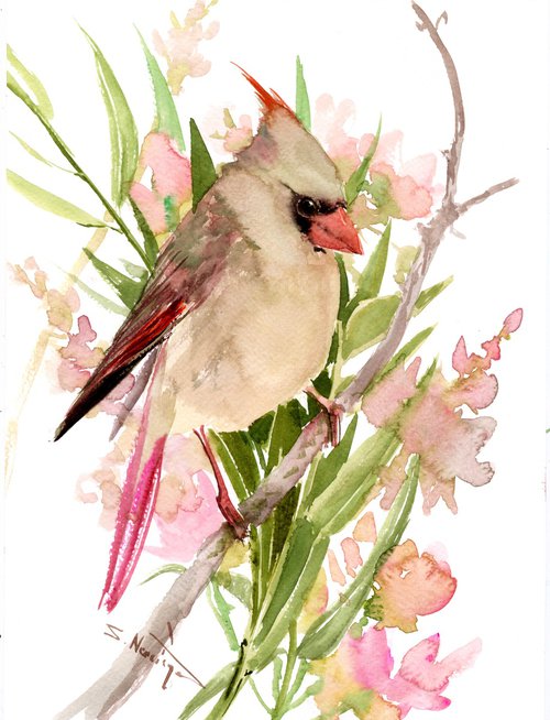 Female Cardinal Bird by Suren Nersisyan