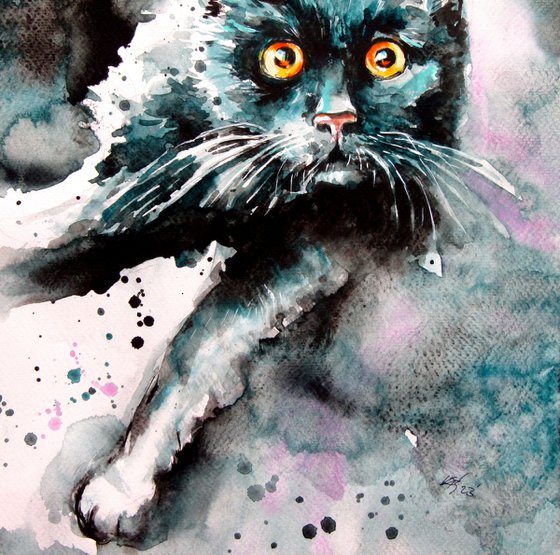 Black cat