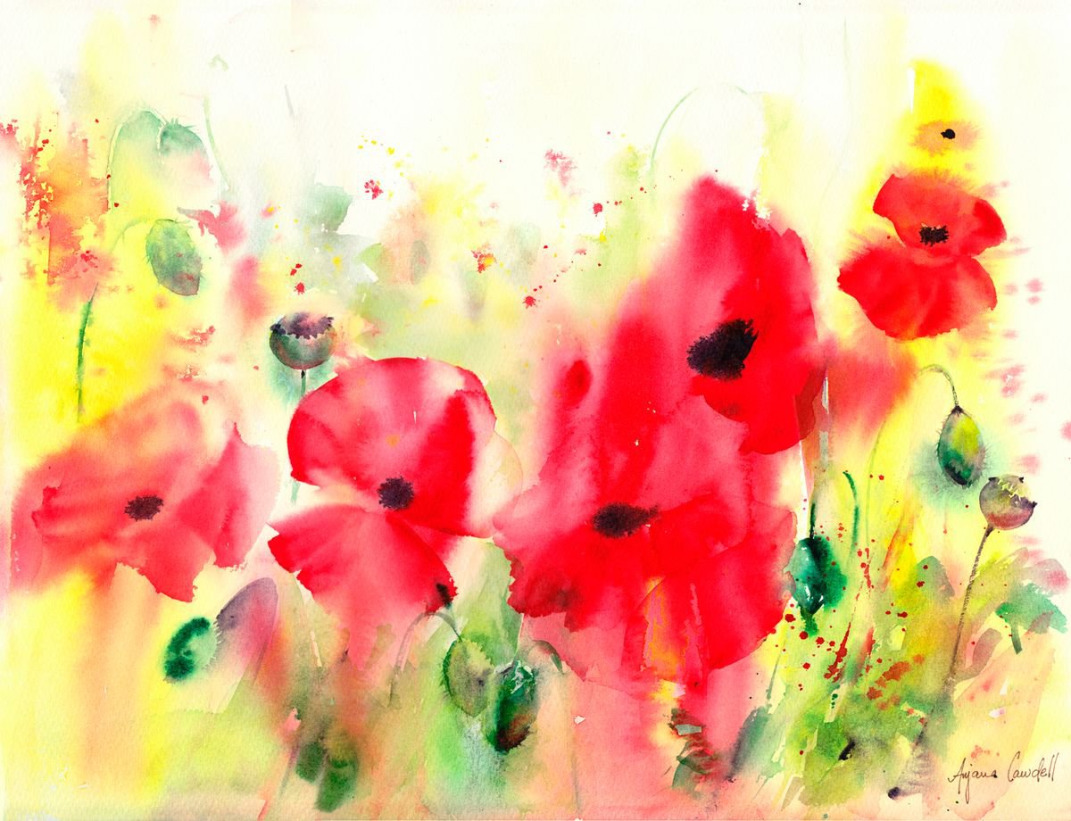 Poppy painting, Original watercolour painting, Floral Wall Art, Summer exuberance, Floral... by Anjana Cawdell