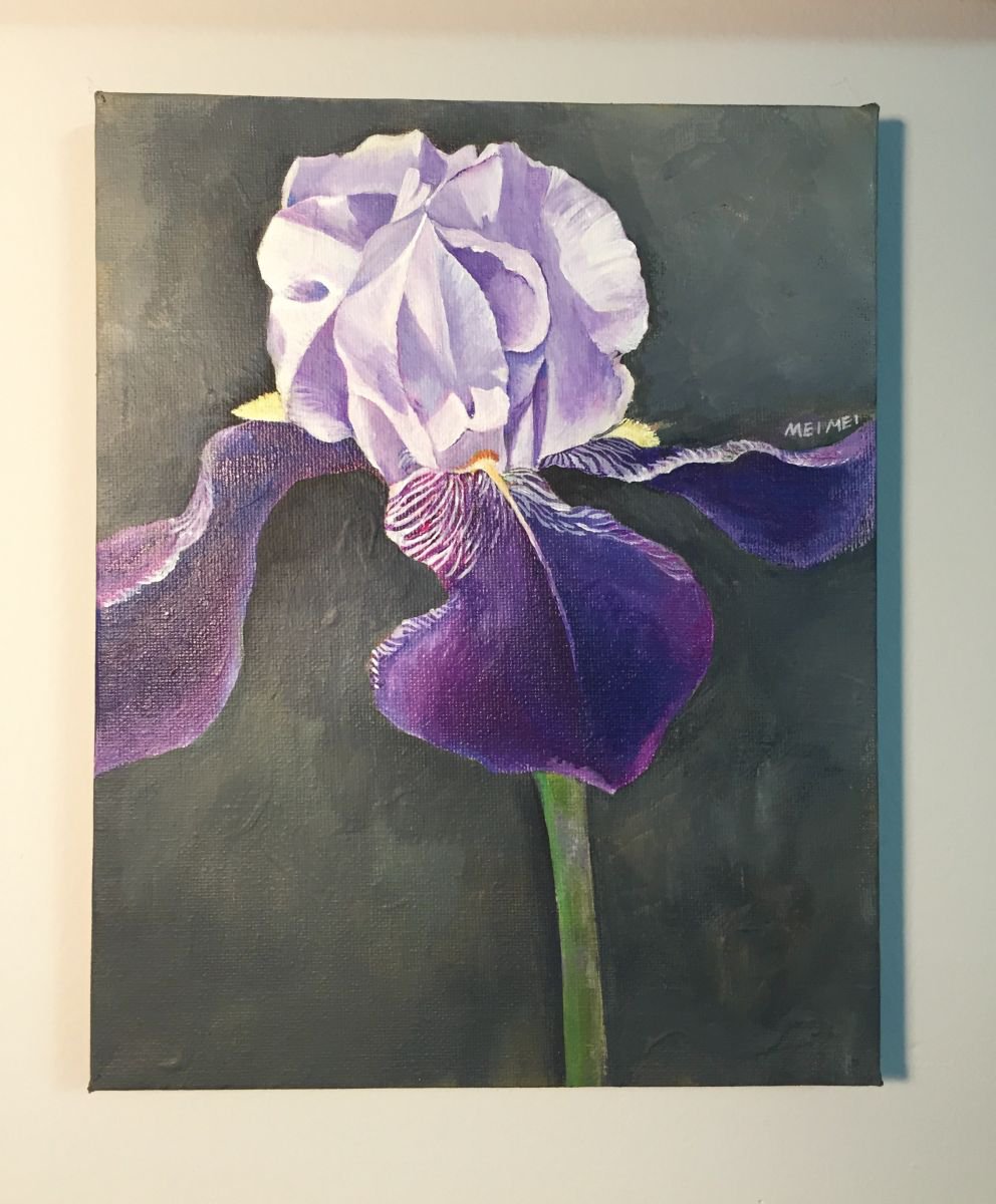 Iris by Angelflower (Sun Mei)