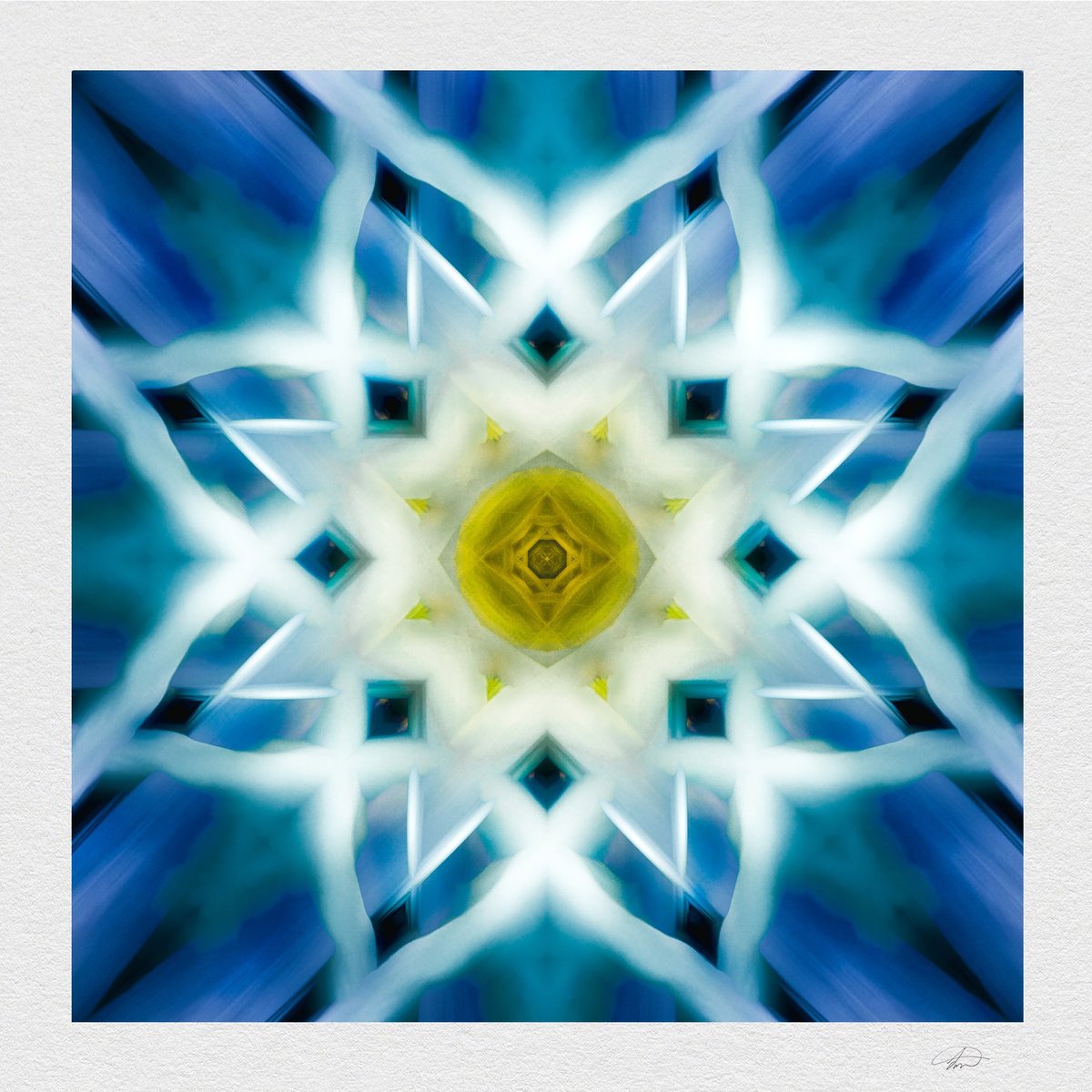 Impressionistic Landscape Photograph By Lynne Douglas, 36 X 36", Floral Knotwork, Original Artwork