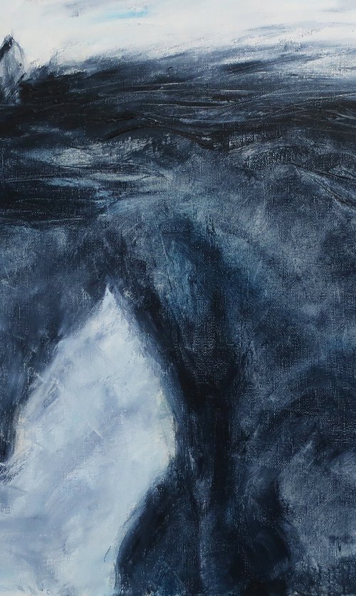 black horse by Anna Shchapova