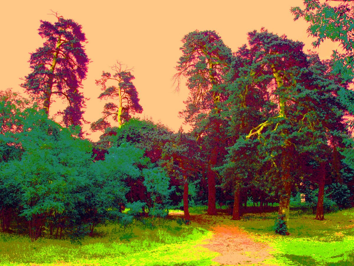 Impressionistic Landscape Oil Painting By Boris Serdyuk, 39 X 31, Sunset In The Forest, Original Artwork