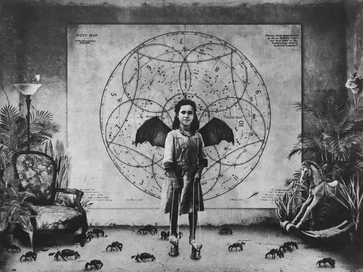 Surrealistic Animal Etchings & Engravings By Jaco Putker, 13 X 10, Interior No.77, Original Artwork