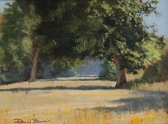 Wheat Field - original plein air oil painting