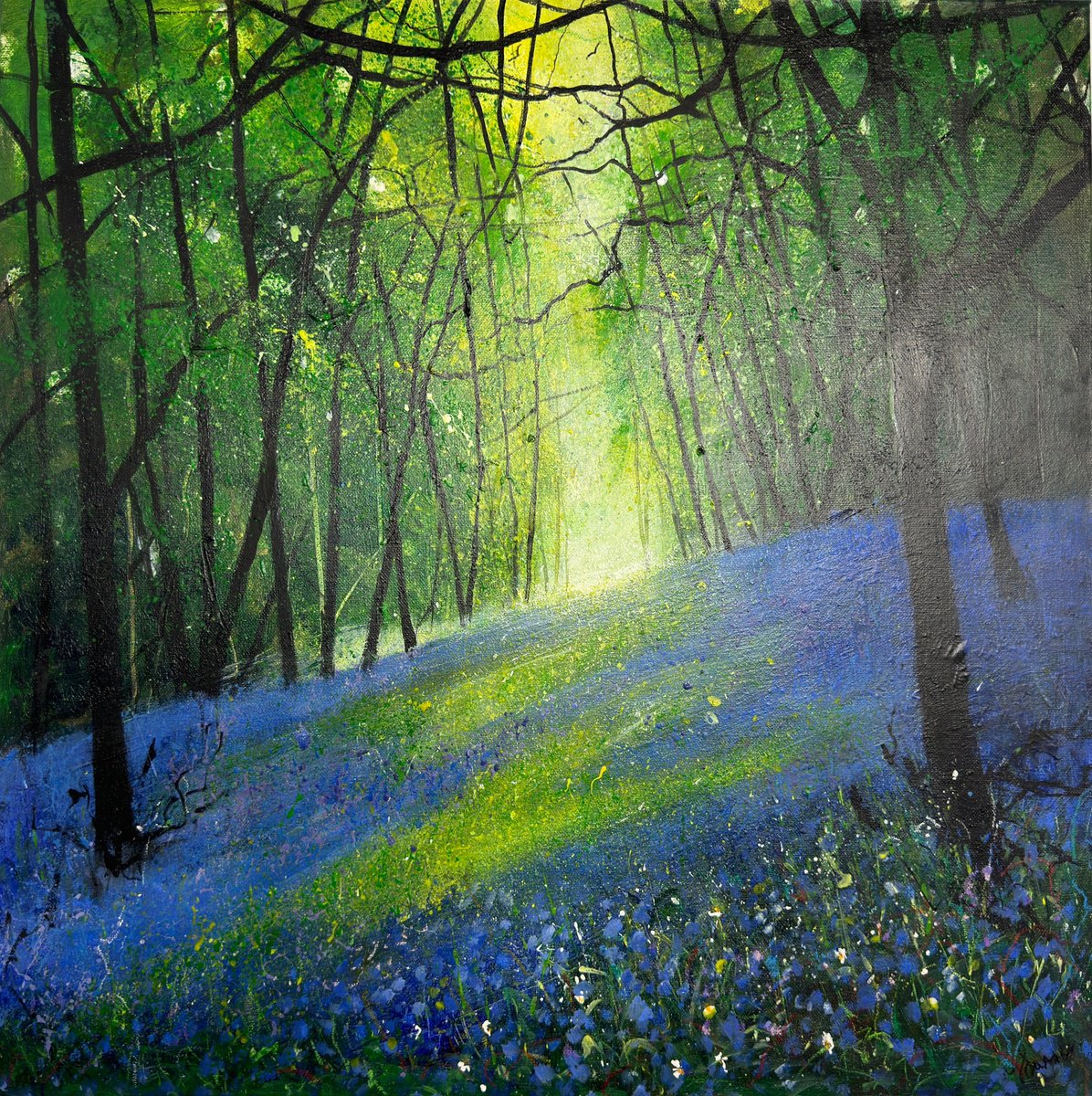 Light across Bluebell Woodland by Teresa Tanner