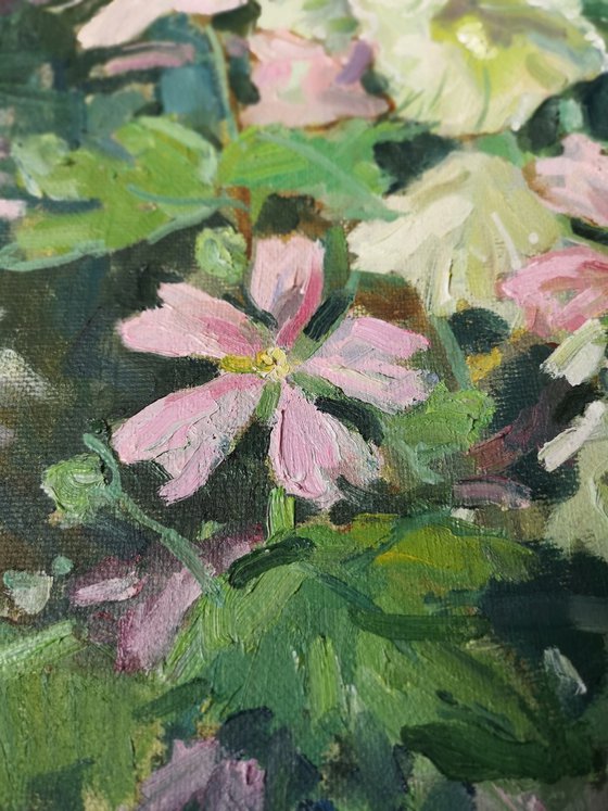 Aerial mallow