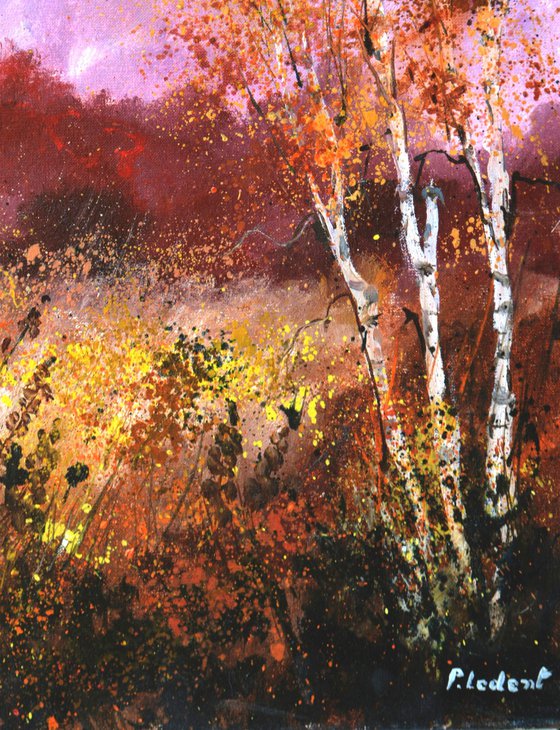 Aspen trees in autumn