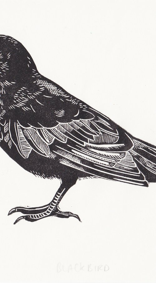 Blackbird by Georgia Flowers