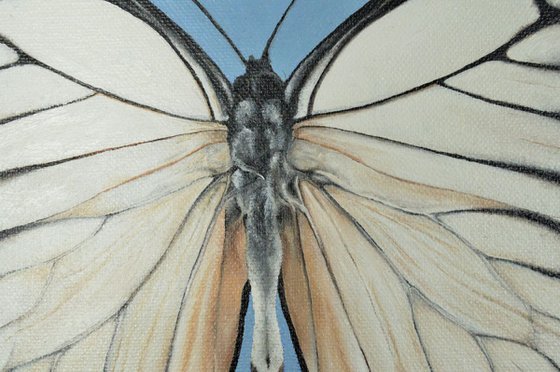 White Butterfly - Framed Oil Painting