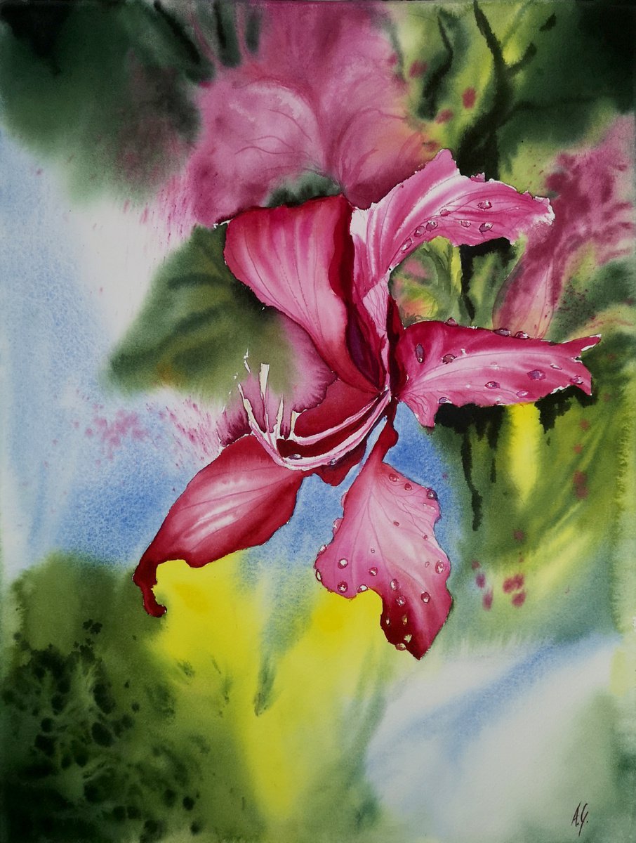Impressionistic Botanical Watercolour By Aneta Gajos, 12 X 16, Burma Flower, Original Artwork
