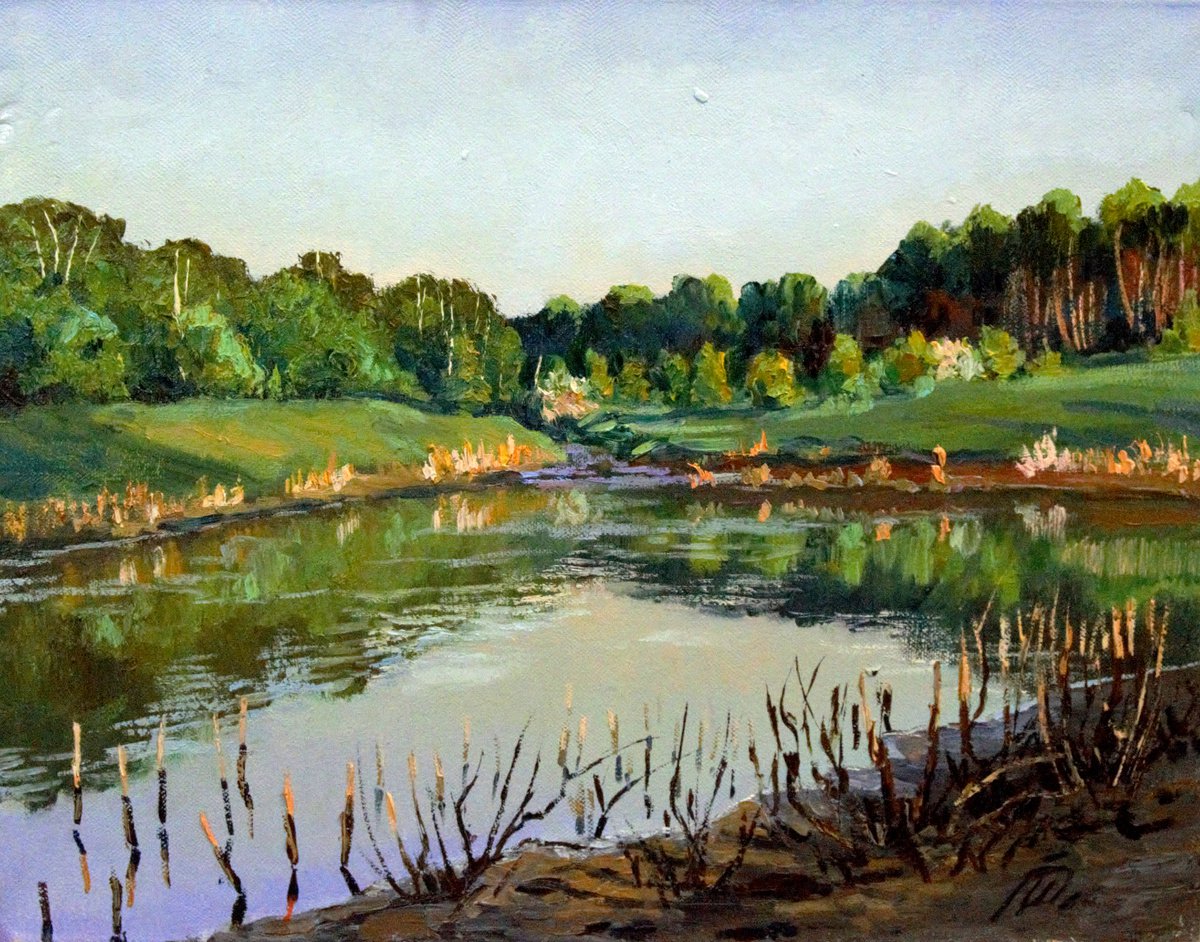 Shallow pond landscape. Real professional oil painting by Dmitry Revyakin