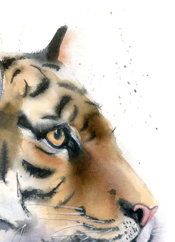 Tiger portrait