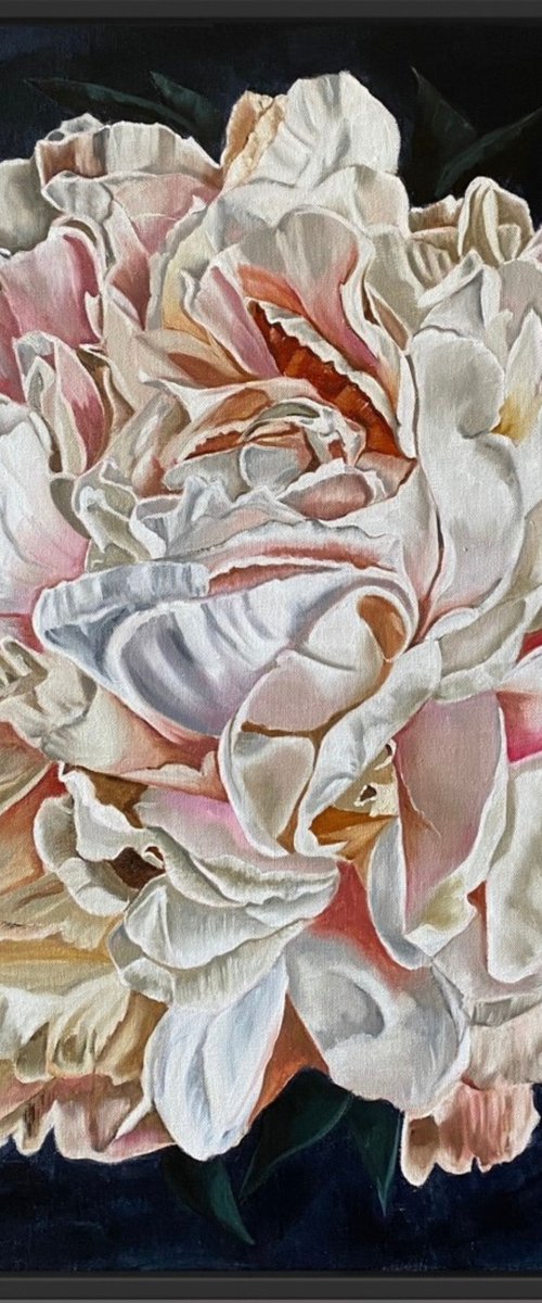 Whispers of Radiance by Wendy Peters