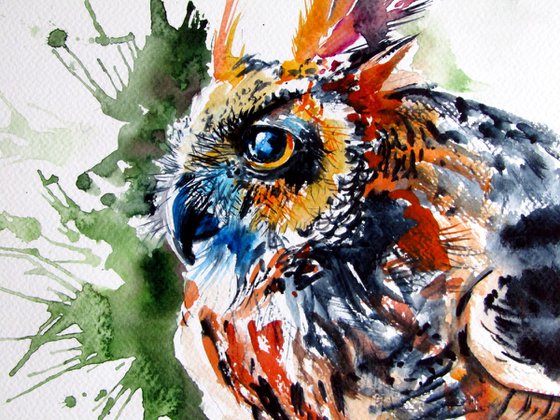 Great horned owl portrait