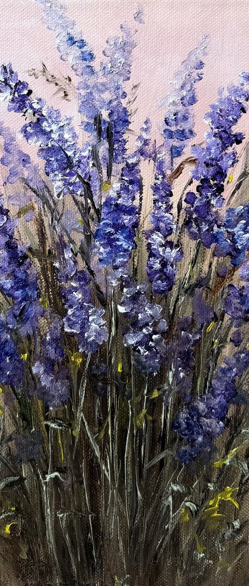 Lavender by Tanja Frost