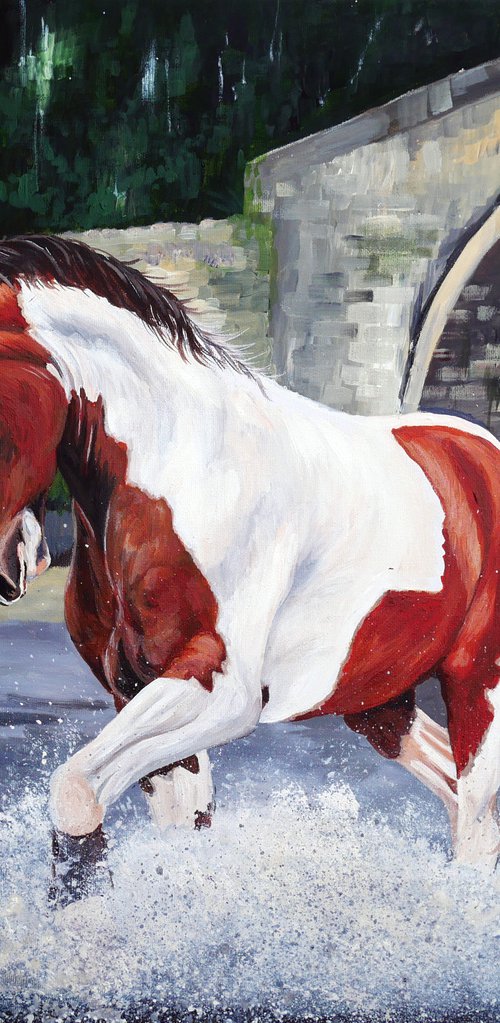Jack in the River Lune by Sally Burrow