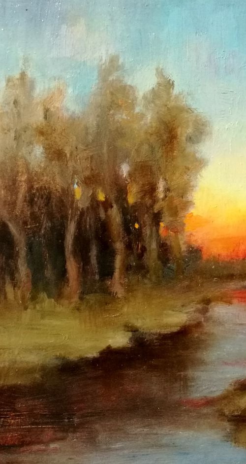 Evening's Warm Glow by Daniela Roughsedge