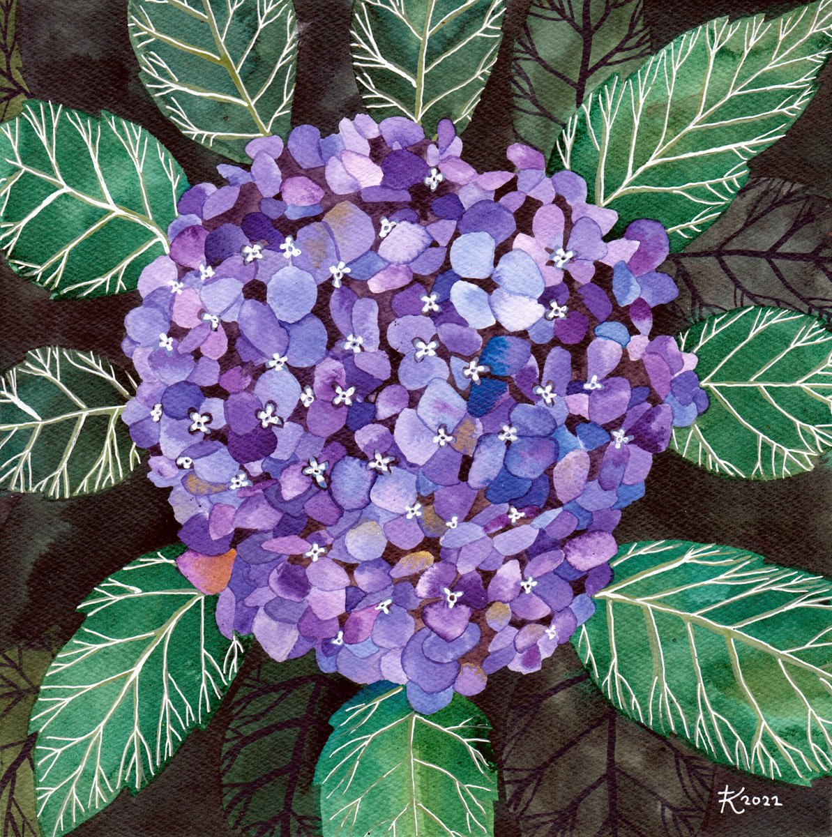 Hydrangea by Terri Smith