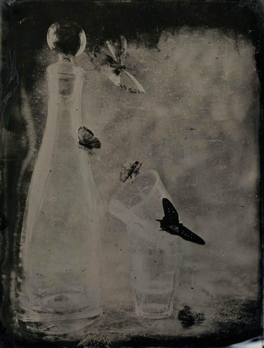 Photorealistic Still Life Photograph By Nicolas Laborie, 16 X 12", Butterfly Iv, Original Artwork