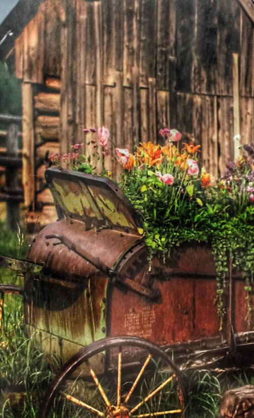 Wagon of Flowers by Alison Maloney