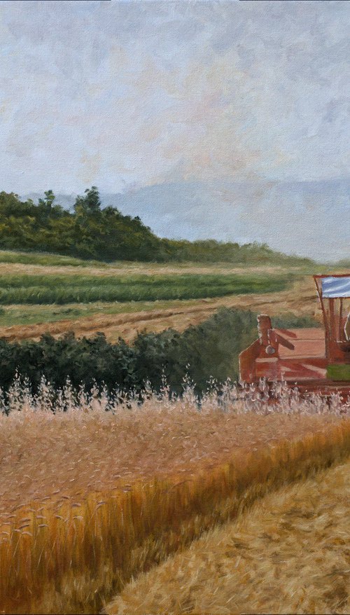 Harvest in Rabbit Slopes by Dejan Trajkovic