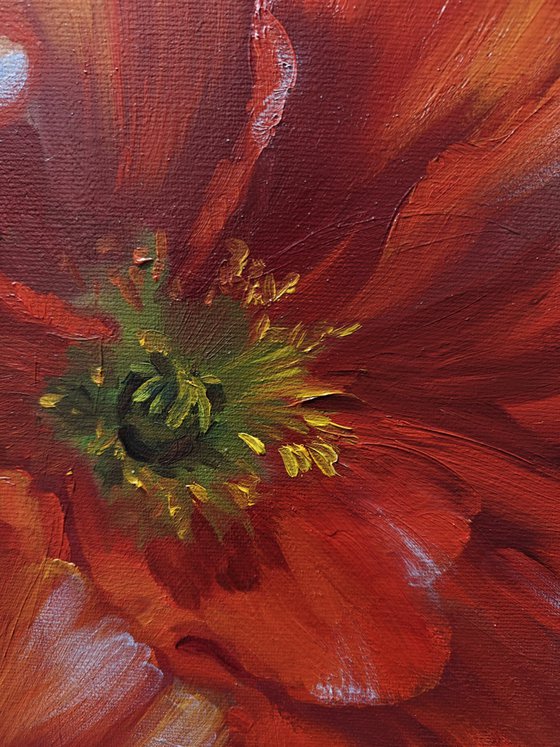 Poppies, Original oil painting