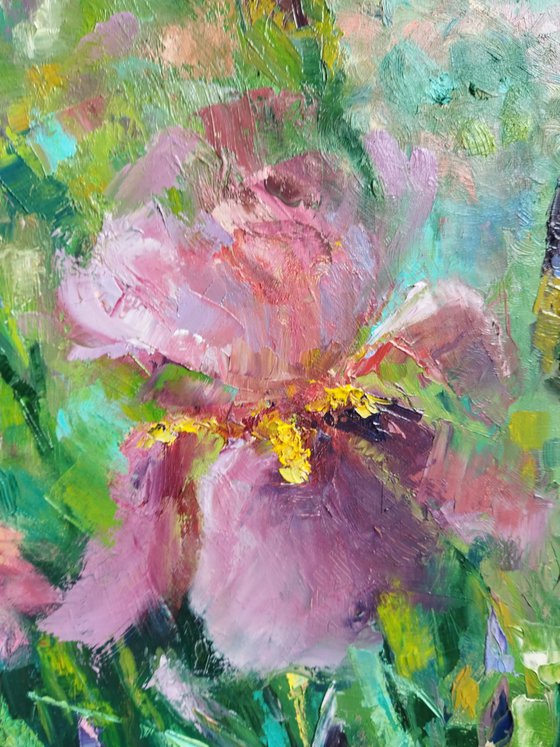 Blush Irises in Bloom