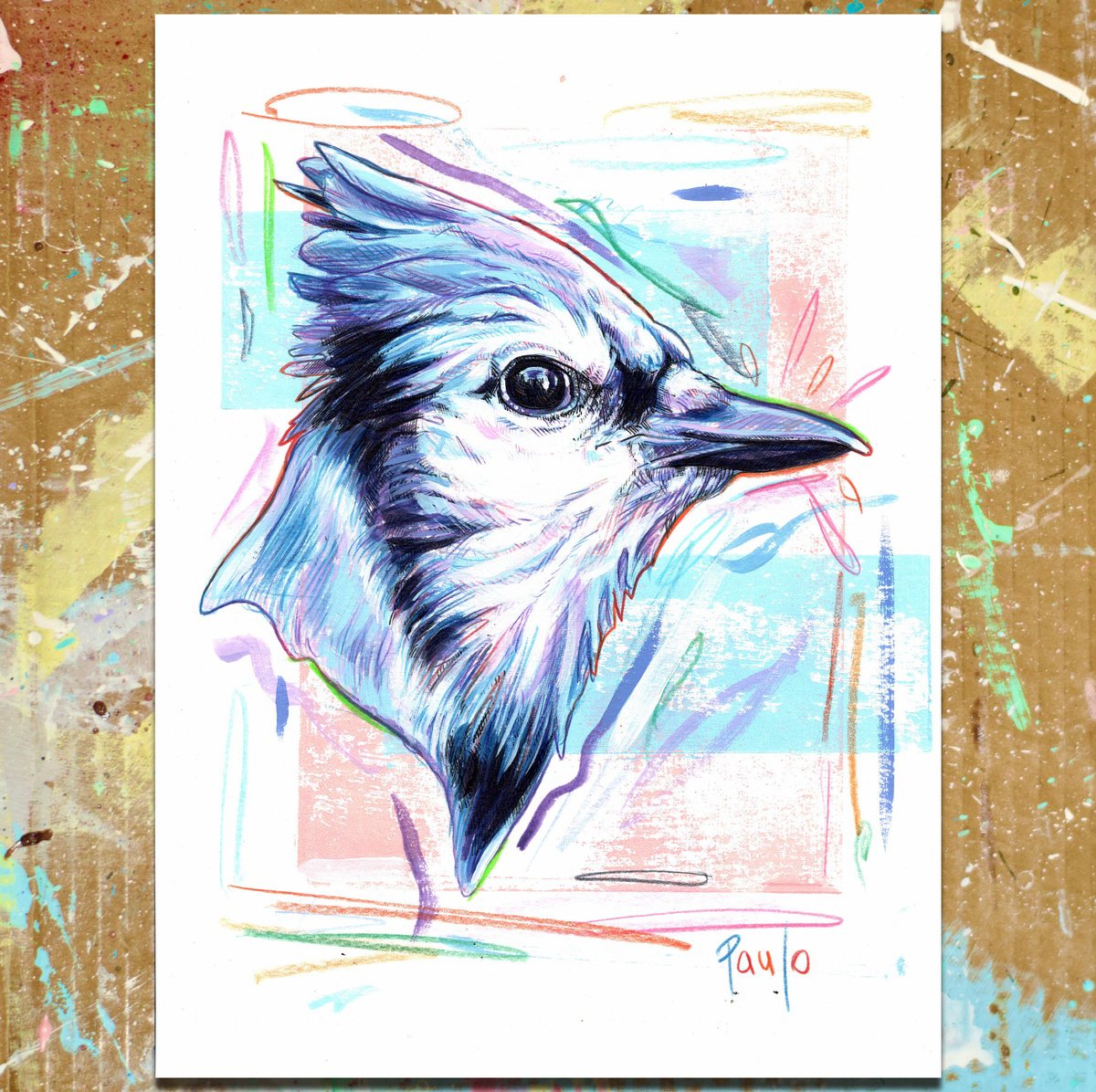 Acrylic Painting , Blue Jay (Cyanocitta Cristata) By Paul Ward, 8 X 12, Artwork For Sale On Artfinder