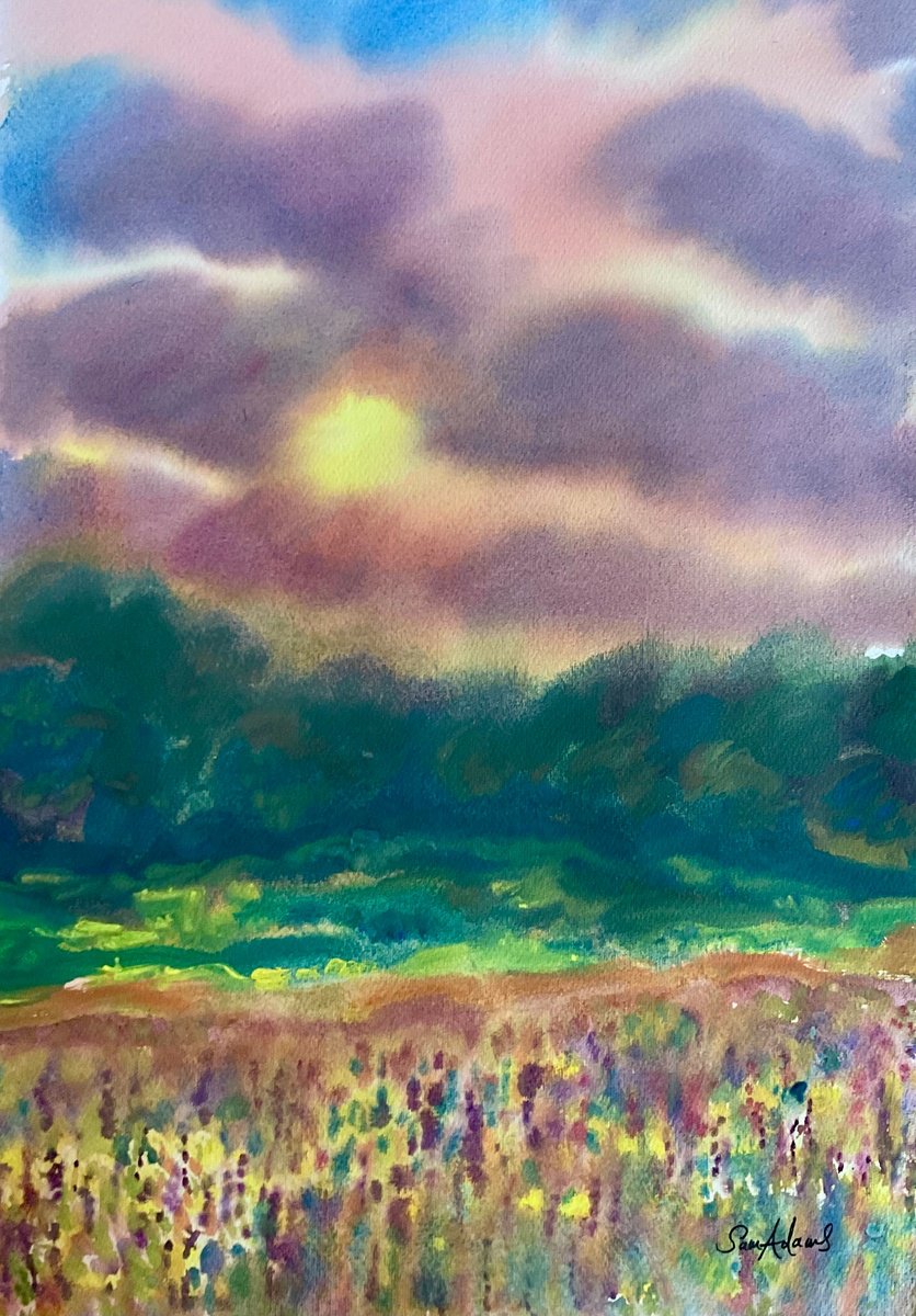 Impressionistic Landscape Watercolour By Samantha Adams, 13 X 19", Millook Meadow At Sunset, Original Artwork