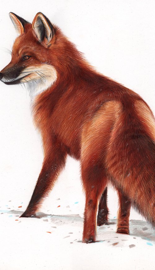 Red Fox - Animal Portrait Painting by Daria Maier