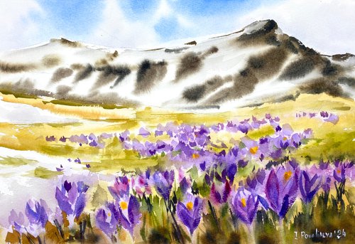 "Mountain Spring Symphony original watercolor painting with flowers and snow, early spring art, purple flowers in the field by Irina Povaliaeva