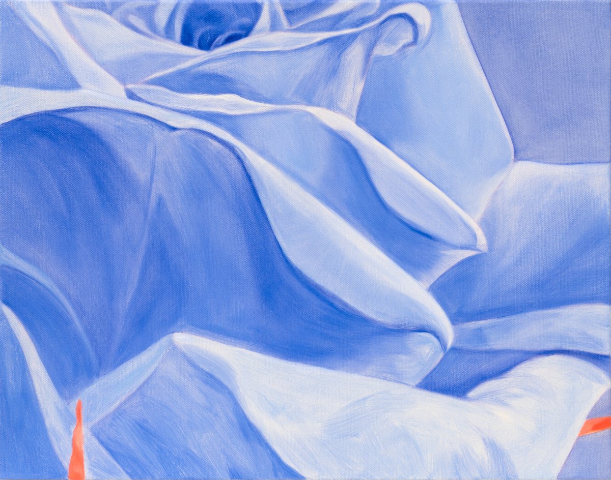 Blue Rose By Ara Youn, 18 X 14, Artwork For Sale On Artfinder