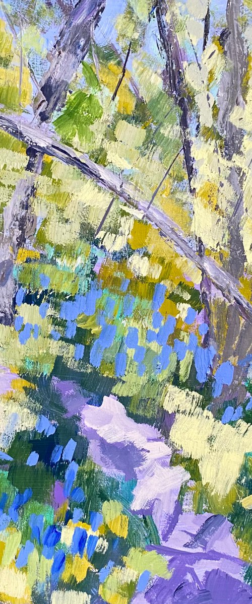 Dappled Path and Bluebells by Nikki Wheeler