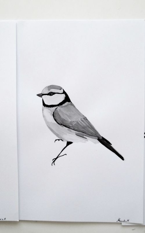 Birds by Nadia Moniatis